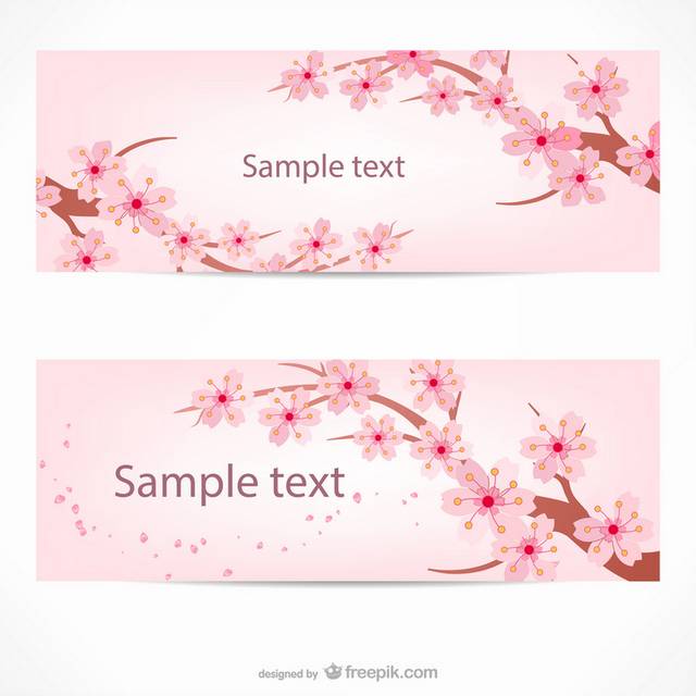 樱花
