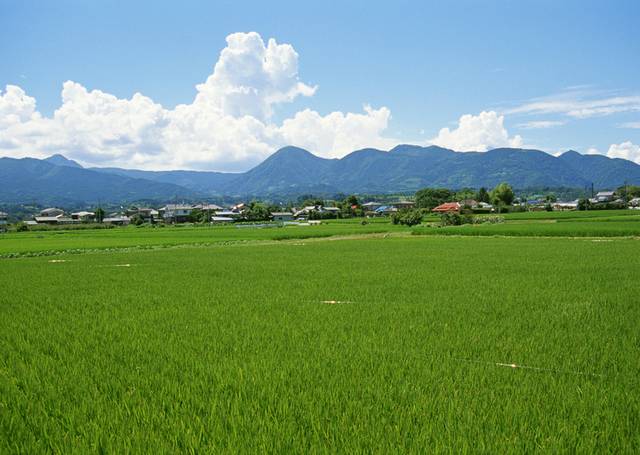 自然风光