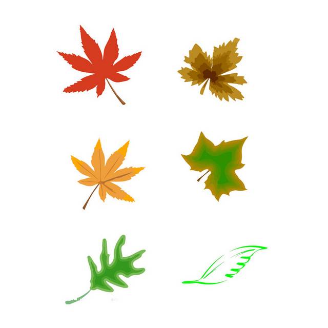 多彩枫叶秋季素材