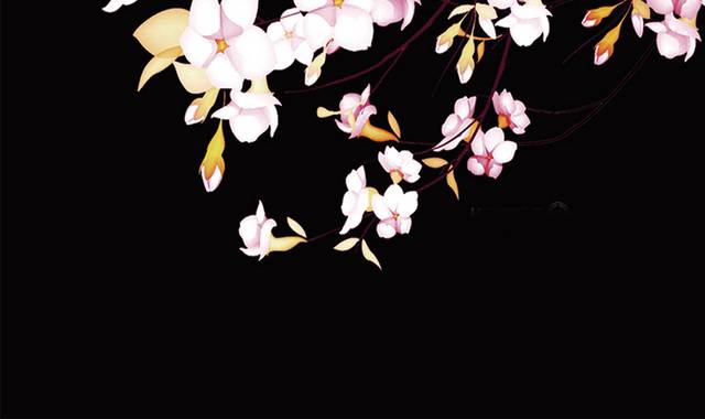 粉色花卉树枝图片