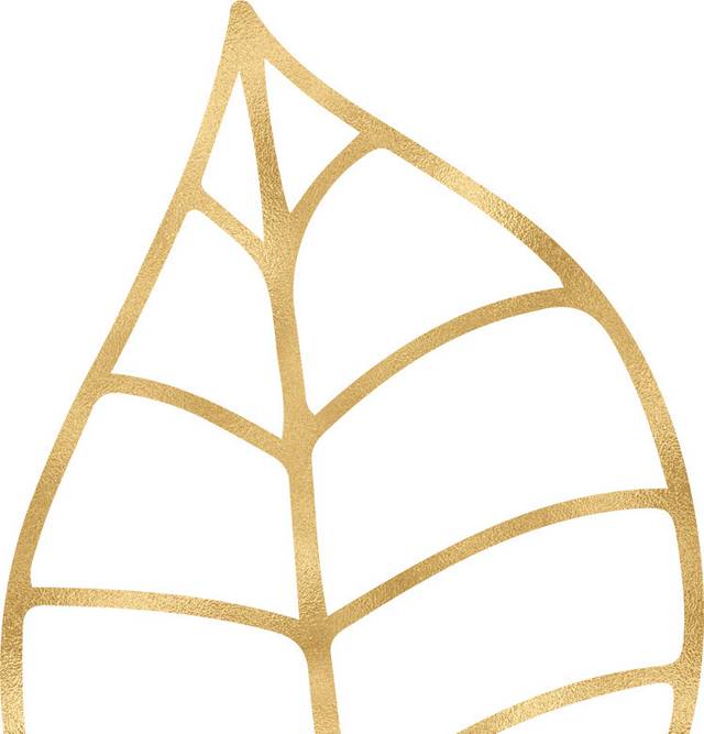 金箔装饰树叶素材