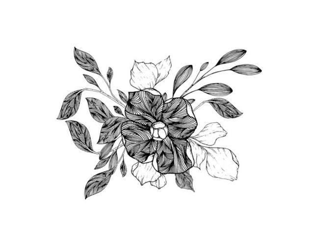 黑白花朵插画4