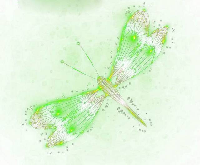 蝴蝶素材