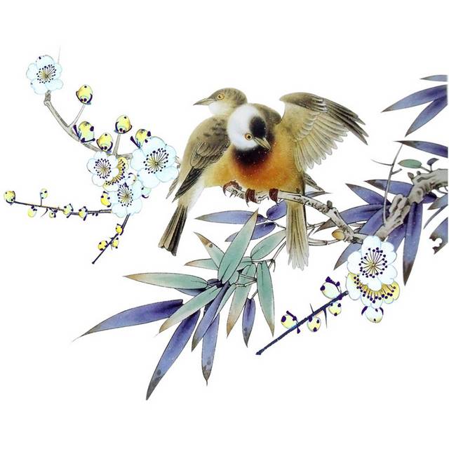 鸟
