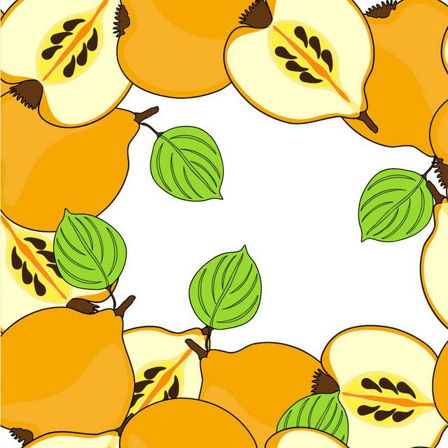 梨子素材