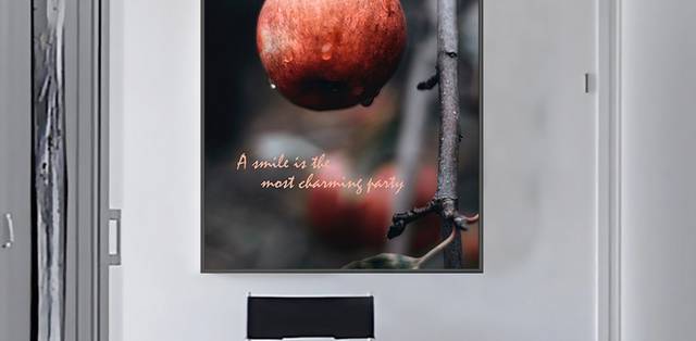 现代个性苹果水果装饰画