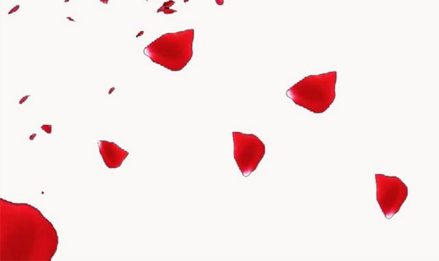 红色飘荡的花瓣