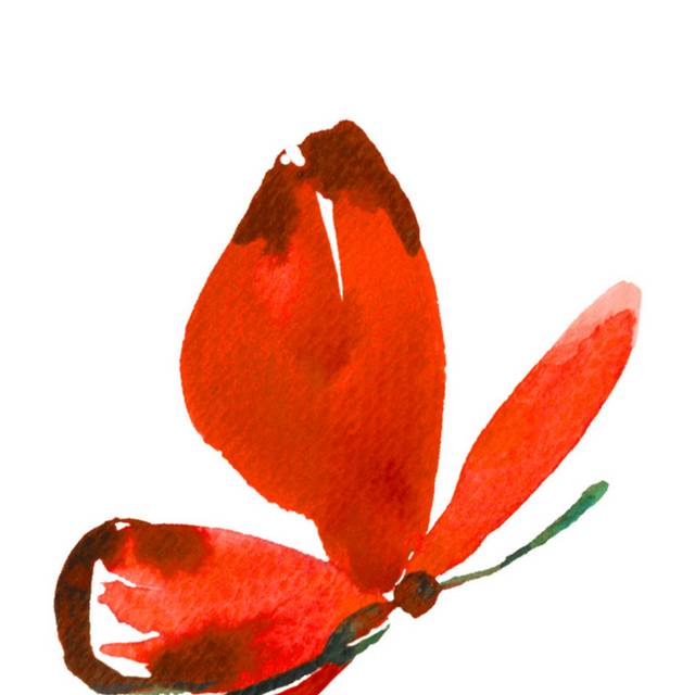 蝴蝶素材