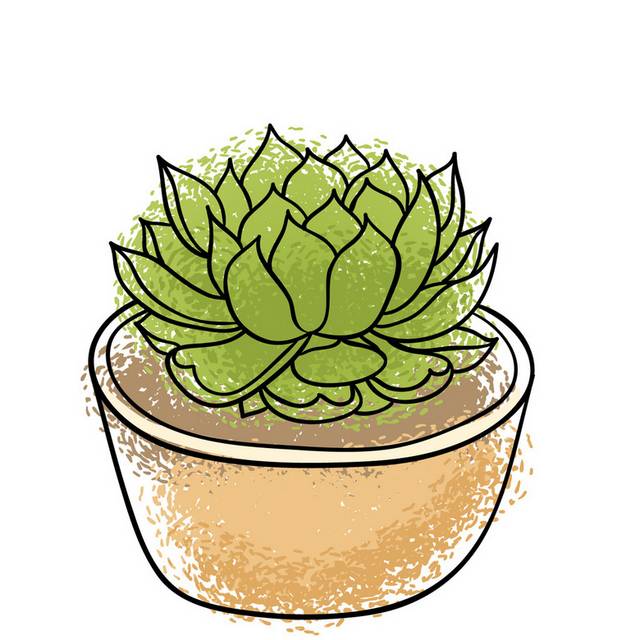 盆栽小植物插画28