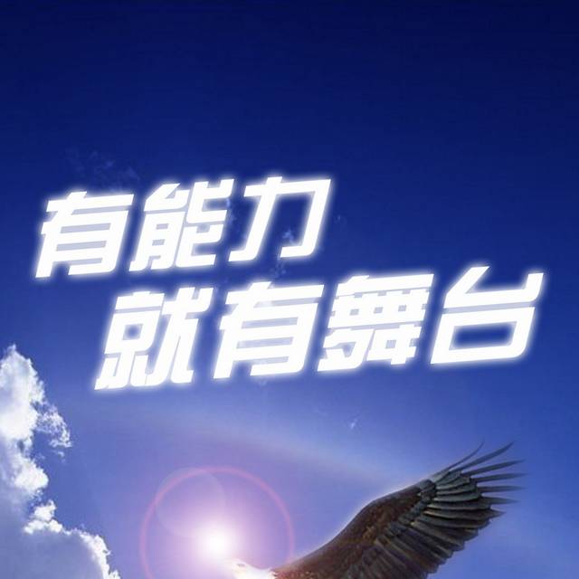 鹰背景