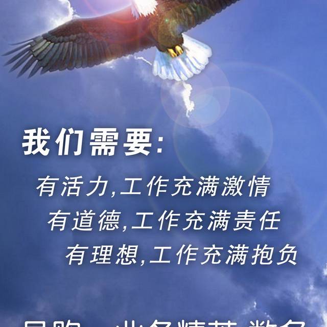 鹰背景