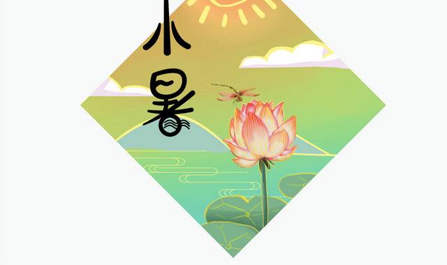 夏季荷花蜻蜓红日小暑节气插画