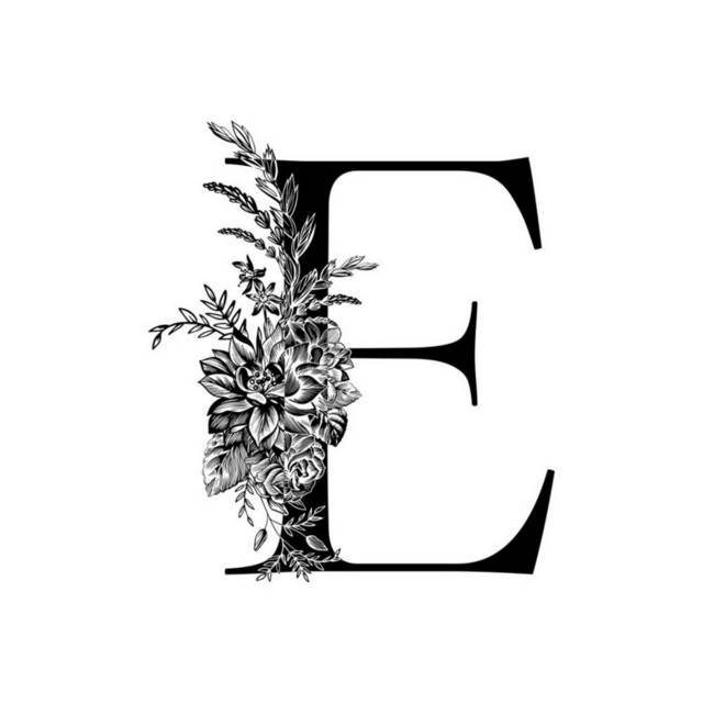 字母E插画