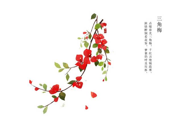 梅花