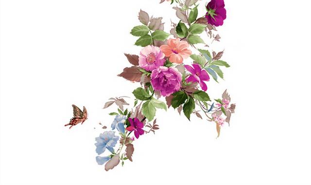 鲜花花卉花朵