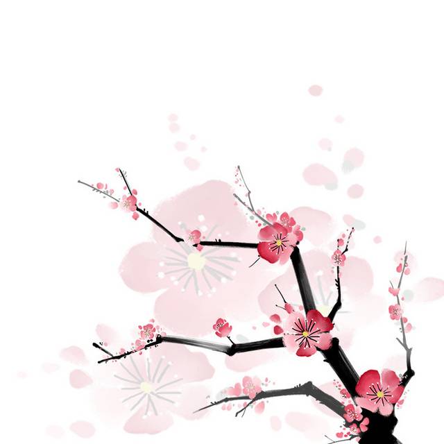 梅花