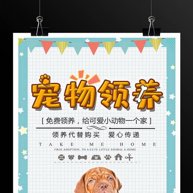 宠物领养免费领养宣传海报
