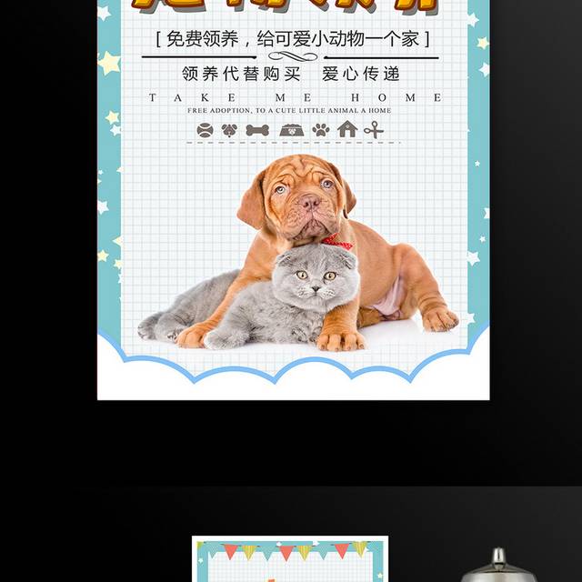 宠物领养免费领养宣传海报