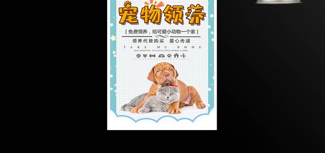 宠物领养免费领养宣传海报