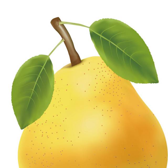 梨子素材