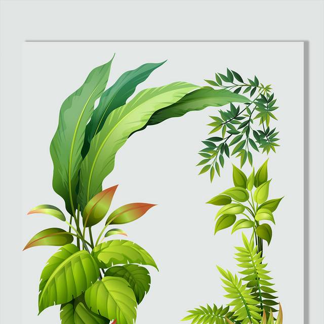 热带植物叶子边框