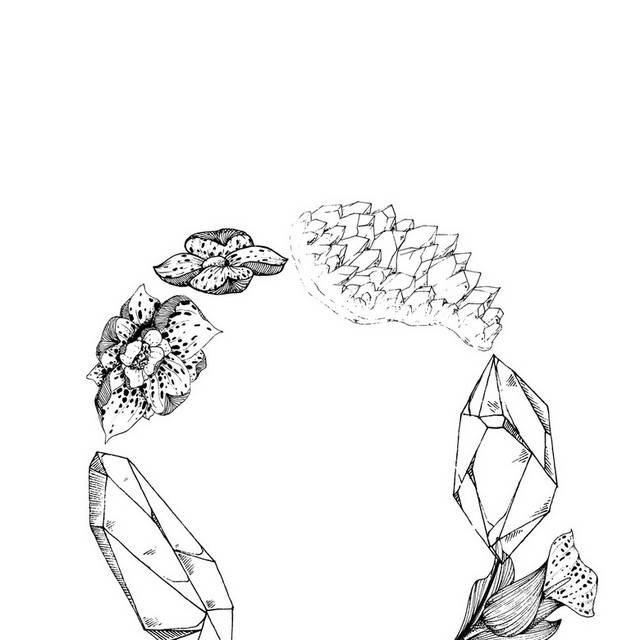黑白花朵盆栽插画10