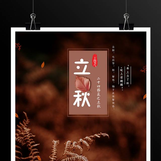 深色秋叶立秋节气海报