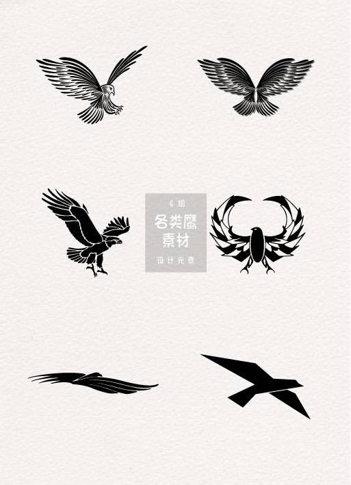 鹰素材