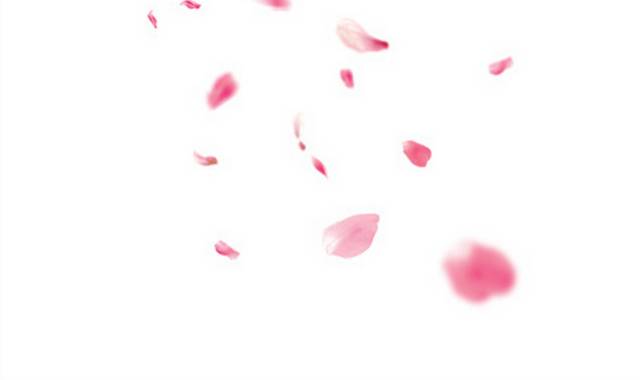 粉色的花瓣漂浮素材