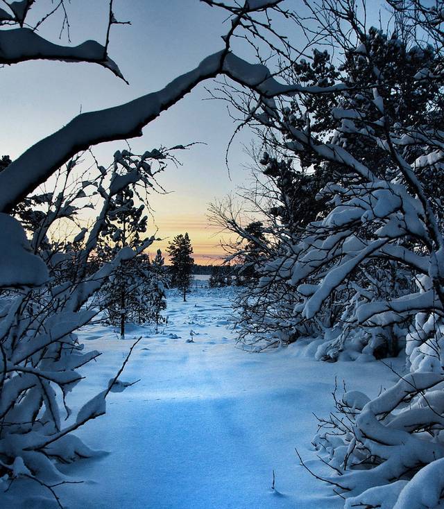 雪地