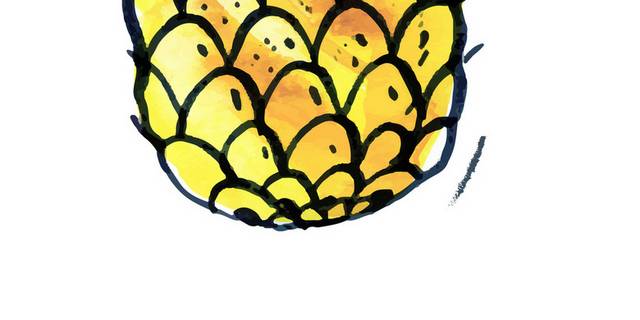 水果菠萝