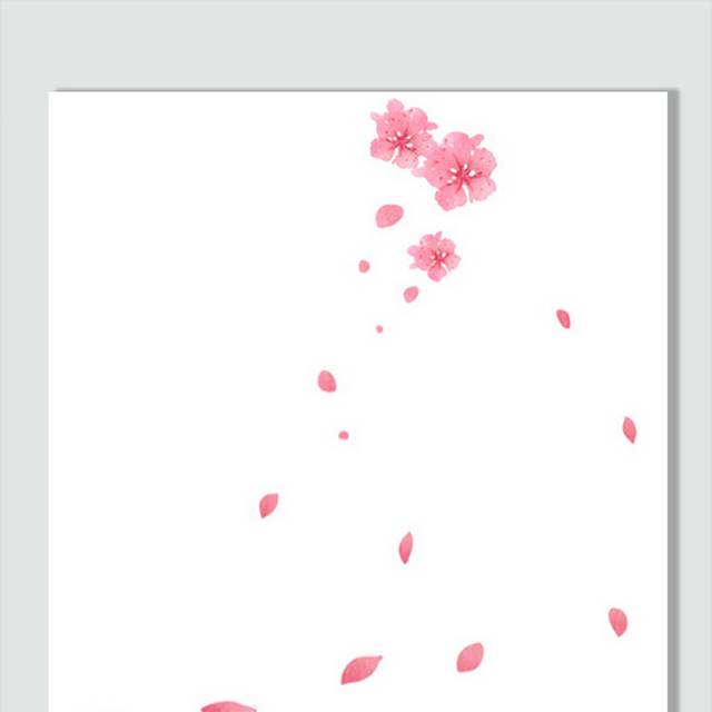 鲜花花卉花朵