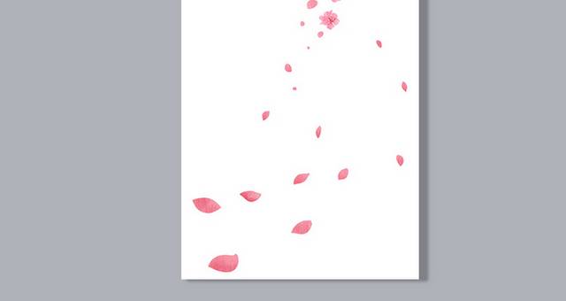 鲜花花卉花朵