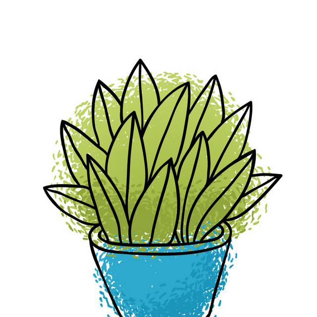 盆栽小植物插画23