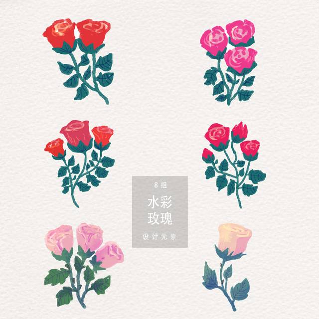 玫瑰