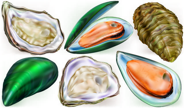 手绘海鲜