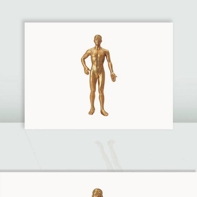 人体器官铜像