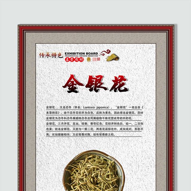 金银花背景海报