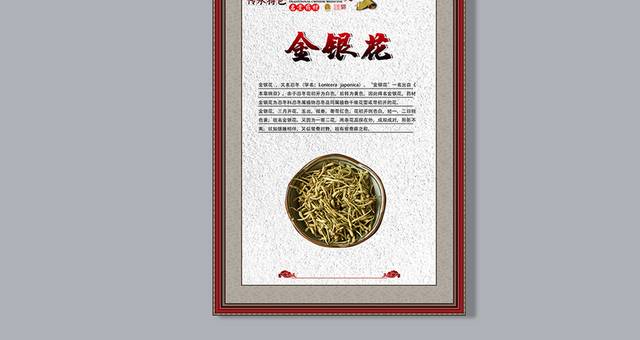 金银花背景海报