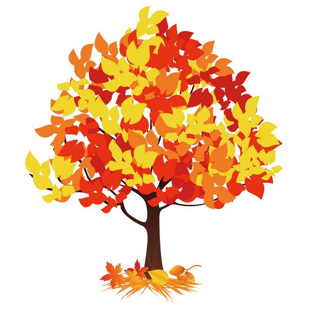 精美多彩秋季树叶素材14