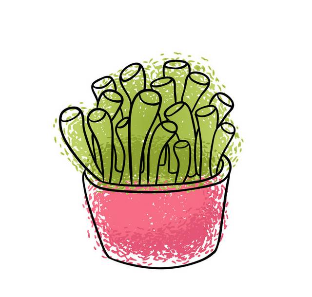 盆栽小植物插画25