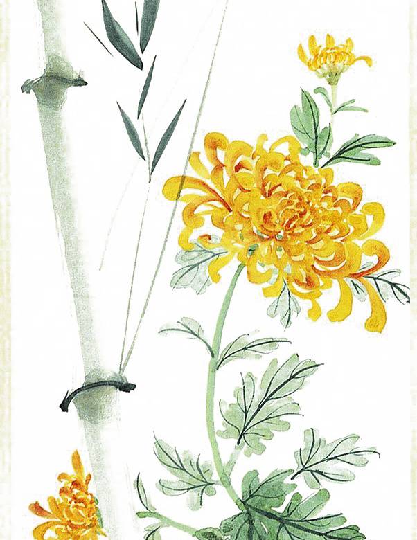菊花