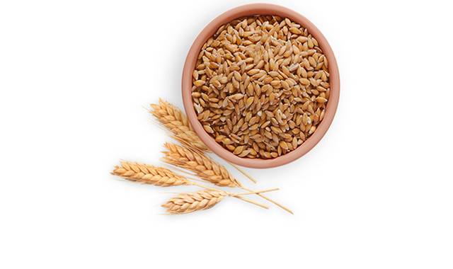 农作物小麦麦穗元素