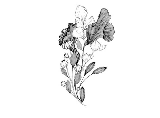 黑白花朵插画6