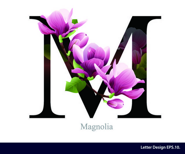 字母花