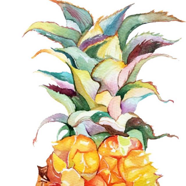 菠萝png素材