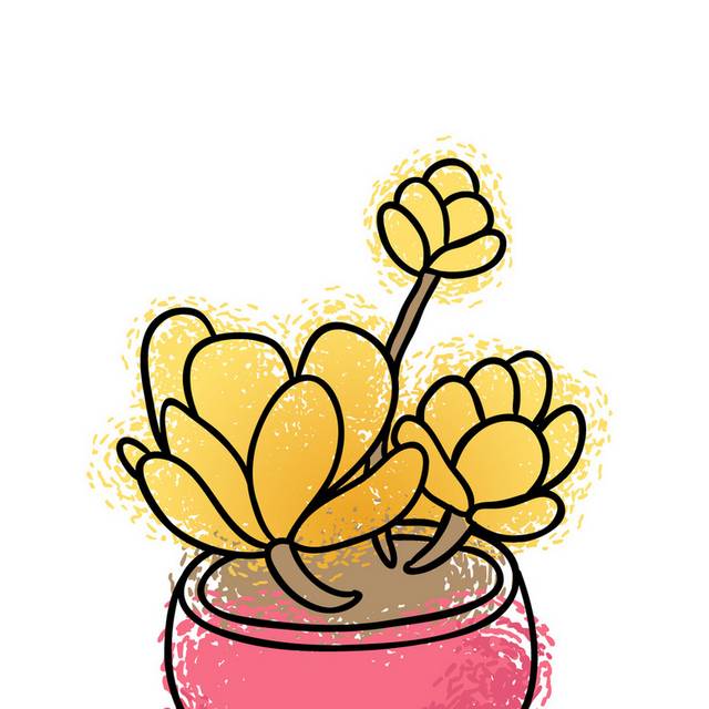 盆栽小植物插画24