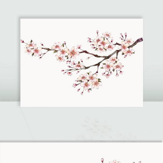 手绘粉色花卉树枝