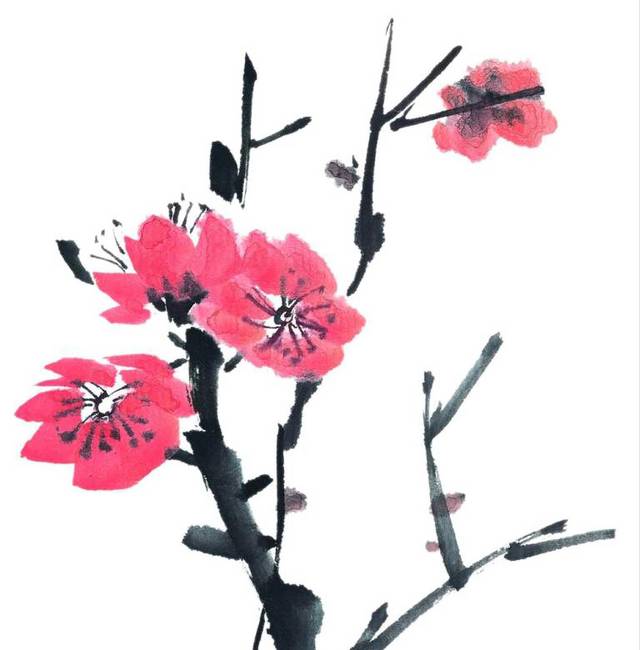 梅花