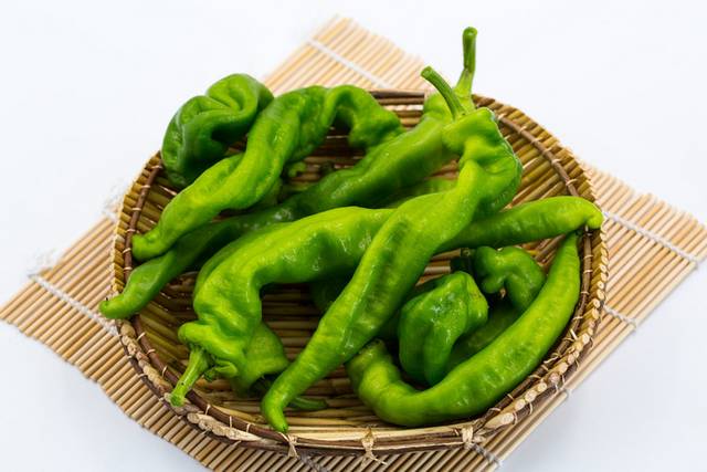 辣椒